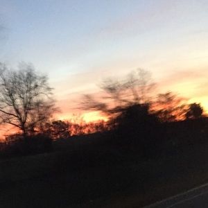 Meet your Posher, Lilly